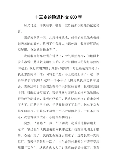 十三岁的险遇作文800字.docx