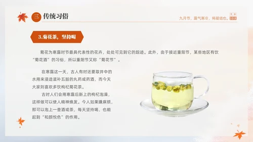 白色淡雅实拍风中国传统节气寒露节气介绍PPT