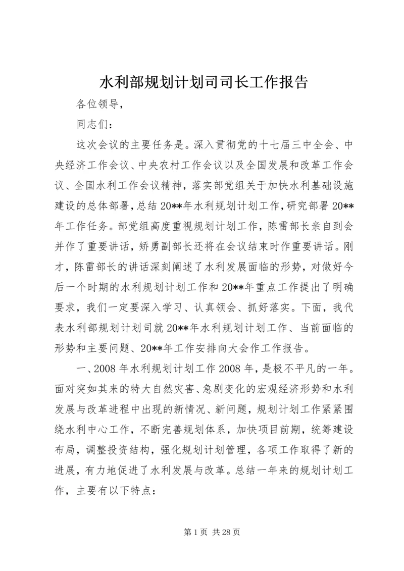 水利部规划计划司司长工作报告.docx