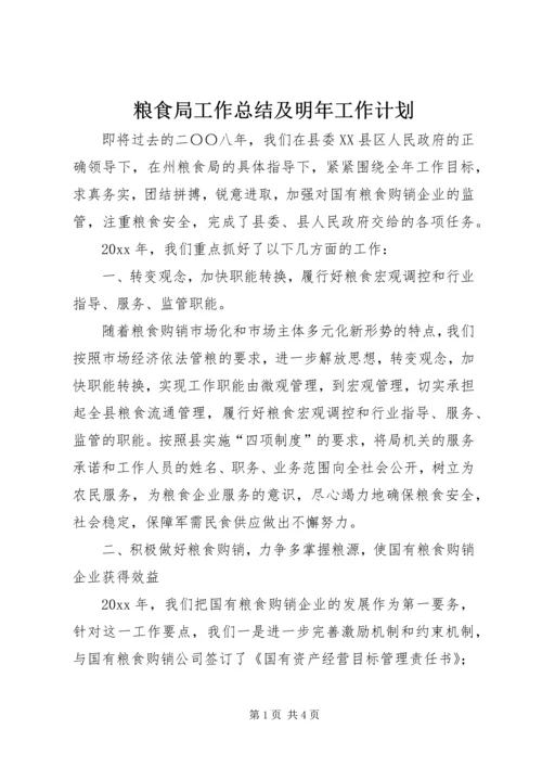 粮食局工作总结及明年工作计划精编.docx