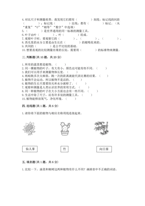 教科版科学一年级上册期末测试卷有完整答案.docx
