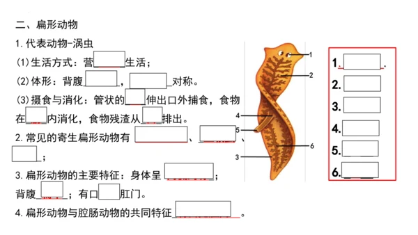 人教版生物八年级上册期末考试知识点汇总（课件）(共28张PPT)