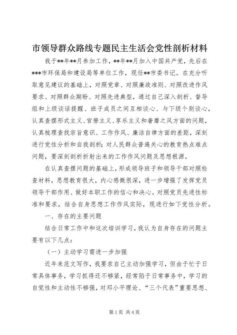 市领导群众路线专题民主生活会党性剖析材料.docx