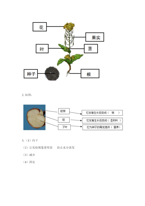 科学四年级下册第一单元植物的生长变化测试卷带答案（能力提升）.docx