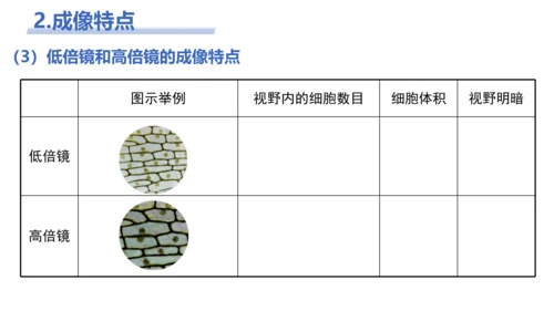 【核心素养目标】2.1.1《练习使用显微镜》课件(共42张PPT)