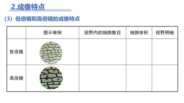 【核心素养目标】2.1.1《练习使用显微镜》课件(共42张PPT)
