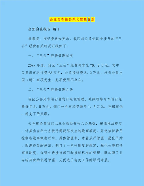 企业自查报告范文锦集5篇