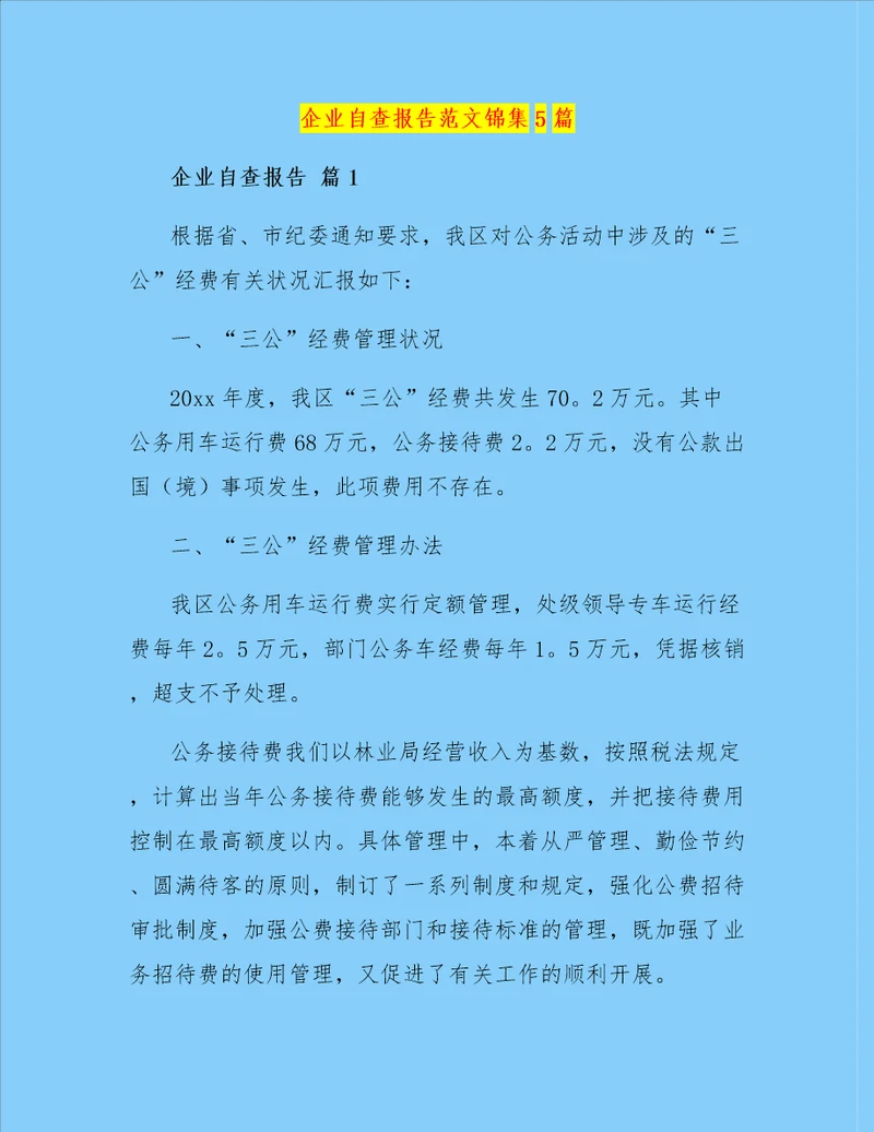 企业自查报告范文锦集5篇