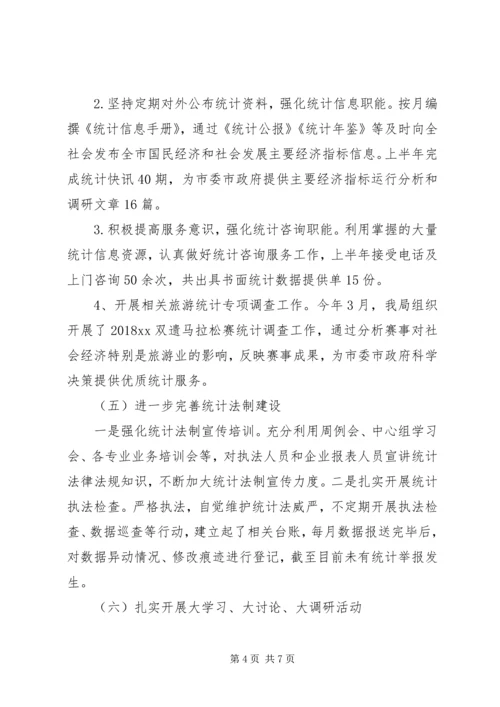 统计局XX年上半年工作总结及下半年工作计划.docx