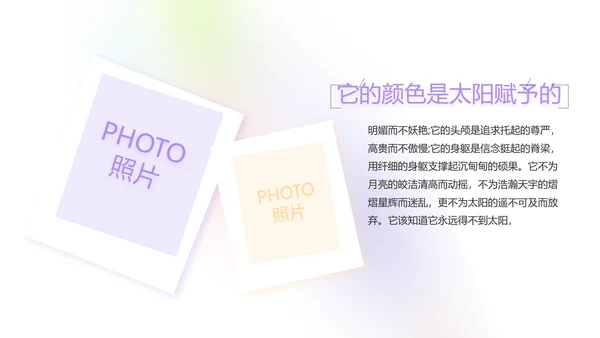 致青春毕业季大学毕业纪念册电子相册动态PPT