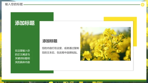 油菜花摄影，油彩花开PPT模板