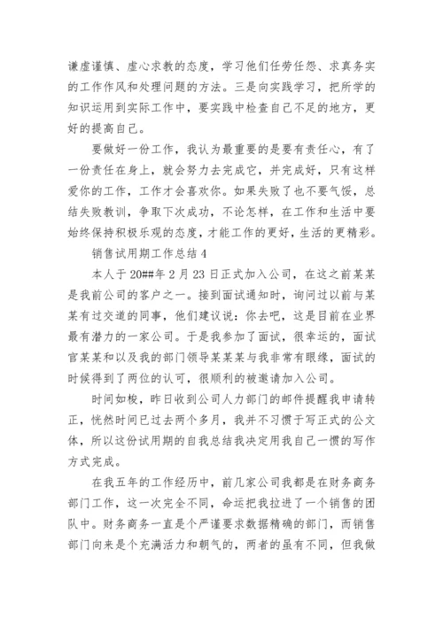 销售试用期工作总结.docx