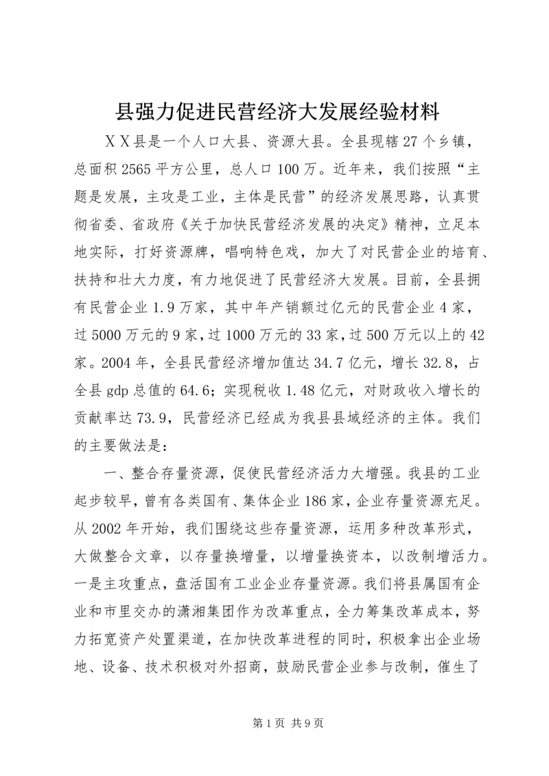 县强力促进民营经济大发展经验材料 (5).docx