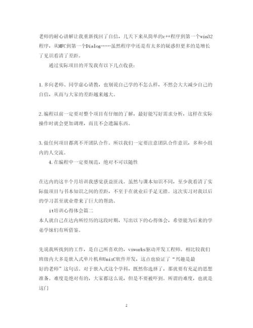 精编it培训心得体会_it培训学习总结范文.docx