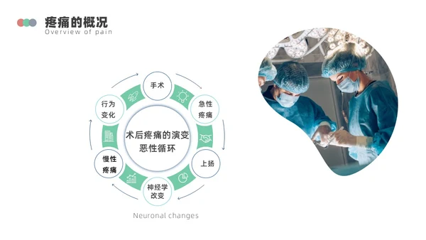 浅绿色简约围手术期疼痛管理ppt模板