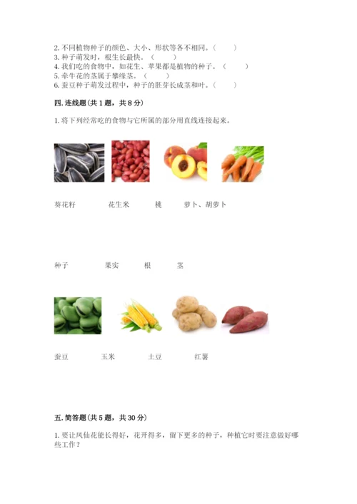 科学四年级下册第一单元《植物的生长变化》测试卷【培优a卷】.docx