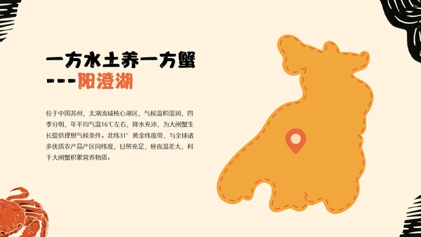 黄橙色手绘中国美食阳澄湖大闸蟹介绍PPT模板