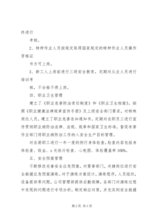 安全生产评估报告 (3).docx