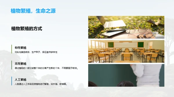生命的奥秘与探索