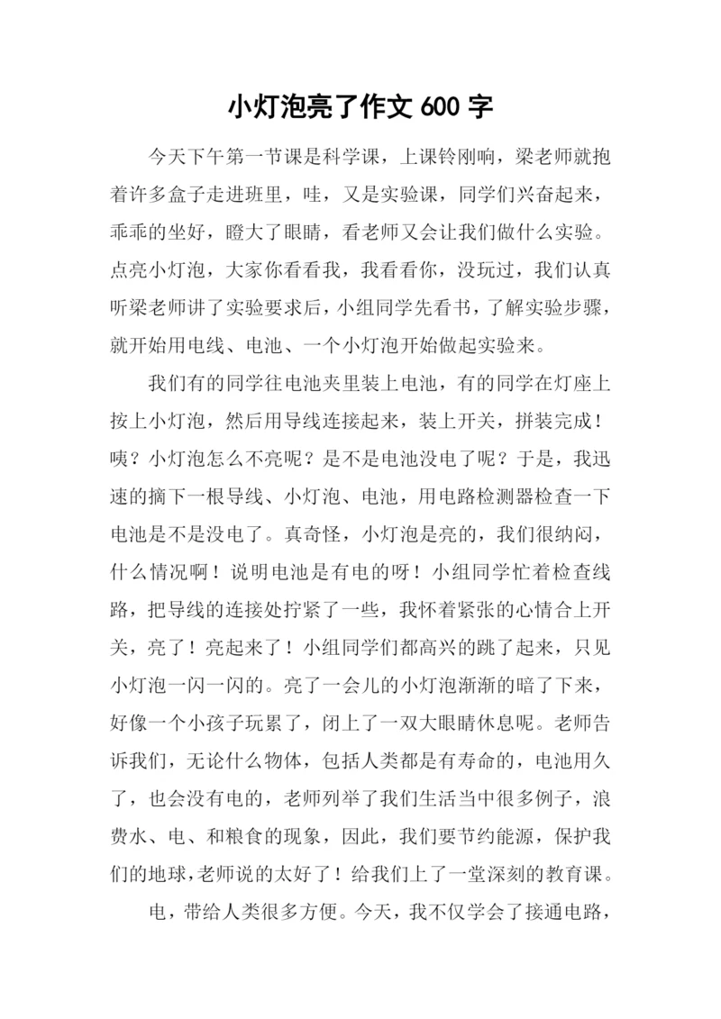 小灯泡亮了作文600字.docx