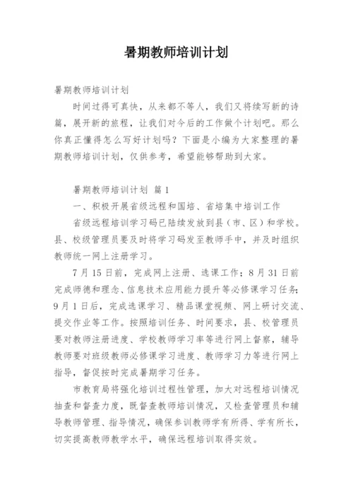 暑期教师培训计划.docx