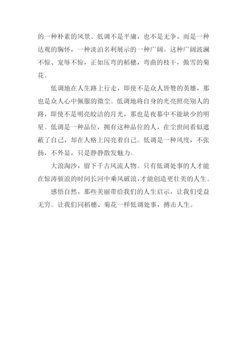 低调的魅力作文800字.docx