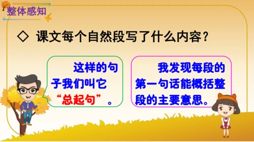 6 秋天的雨   课件