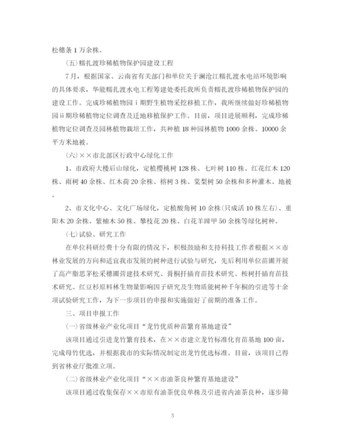 精编之实习期个人工作总结模板.docx