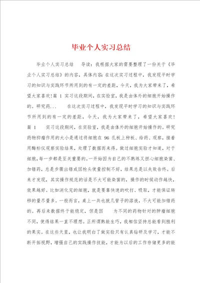 毕业个人实习总结