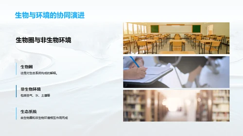 生态环境之魅力