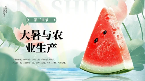 绿色小清新风二十四节气之大暑节气PPT模板