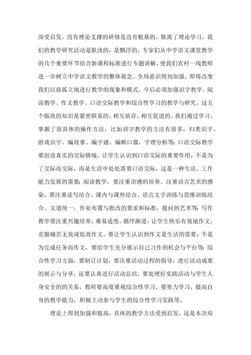 初中语文国培心得体会.docx