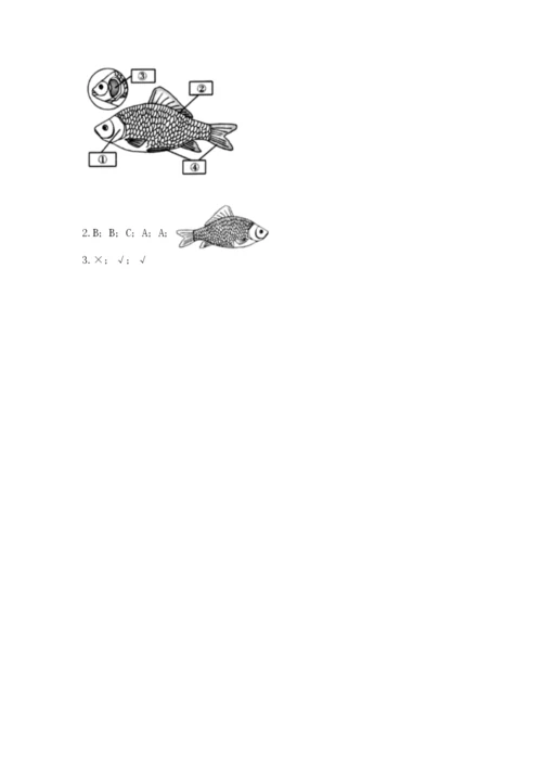 教科版一年级下册科学期末测试卷（历年真题）word版.docx