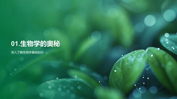 高中生物学教学