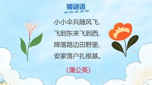 部编版三年级上册金色的草地课件PPT模板