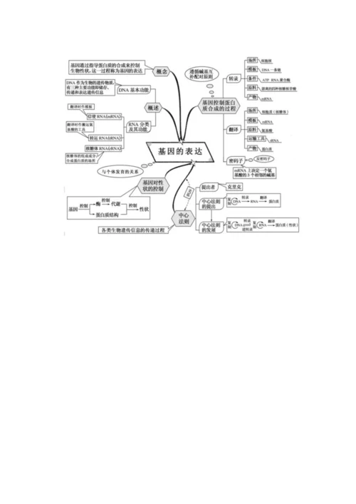 高中生物思维导图.docx