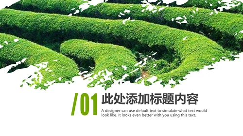 清新绿茶茶文化采茶茶道茶艺茶文化PPT模板