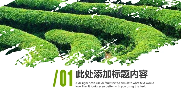清新绿茶茶文化采茶茶道茶艺茶文化PPT模板