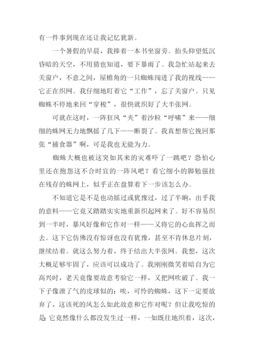 我得到了启发作文.docx