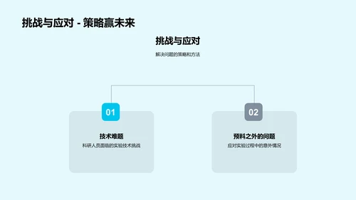 季度研究成果报告