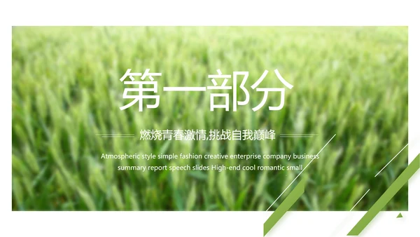 绿色农产品介绍宣传动态PPT模板