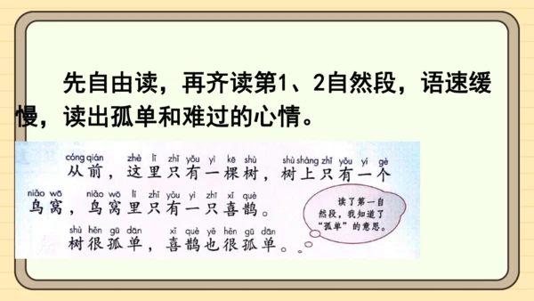 5 树和喜鹊（课件）