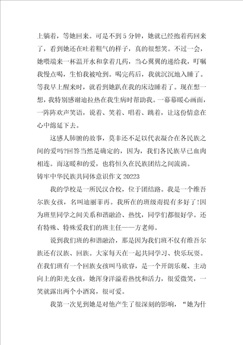 铸牢中华民族共同体意识作文2022