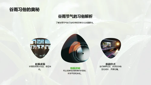 创新策略与谷雨节气