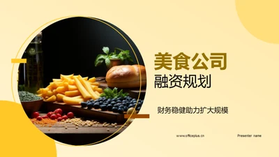 美食公司融资规划