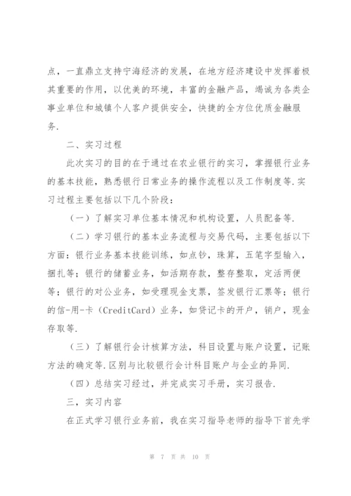 银行个人实习工作总结范例.docx