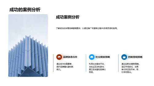 体育营销：全球视角