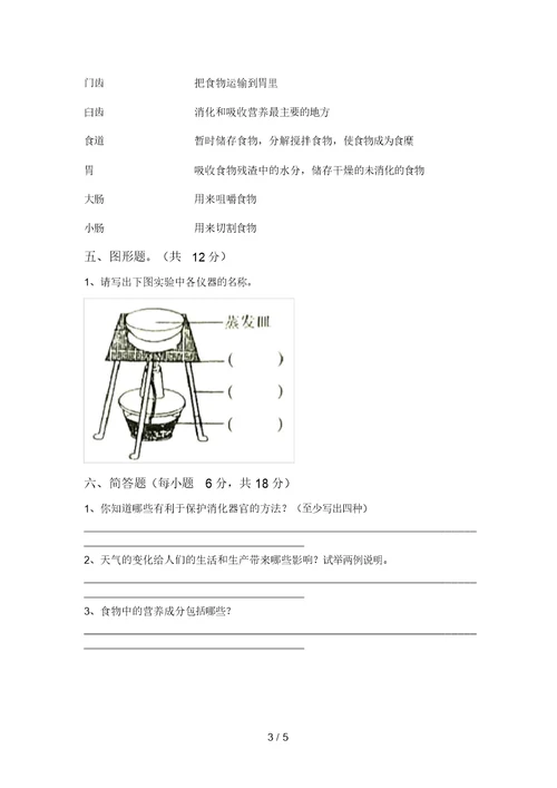 大象版四年级科学上册期末测试卷(可打印)