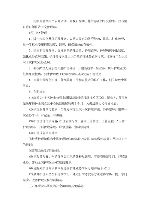 护理部个人工作计划汇编文本汇编19篇