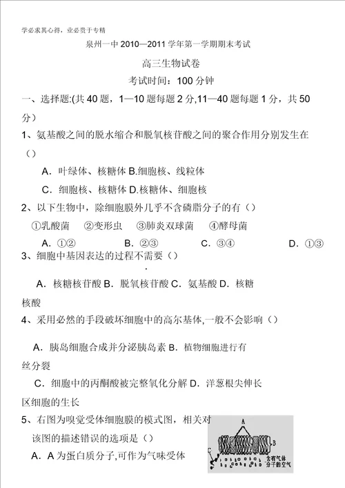 福建省泉州一中2011届高三上学期期末考试卷生物